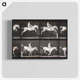 2-42_Eadweard-Muybridge_blk-crop