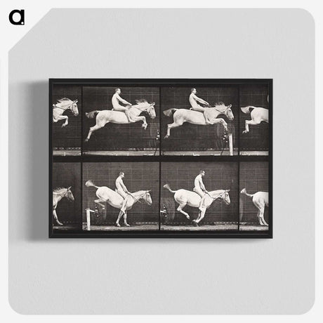 2-42_Eadweard-Muybridge_blk-crop