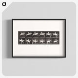 2-42_Eadweard-Muybridge_blk