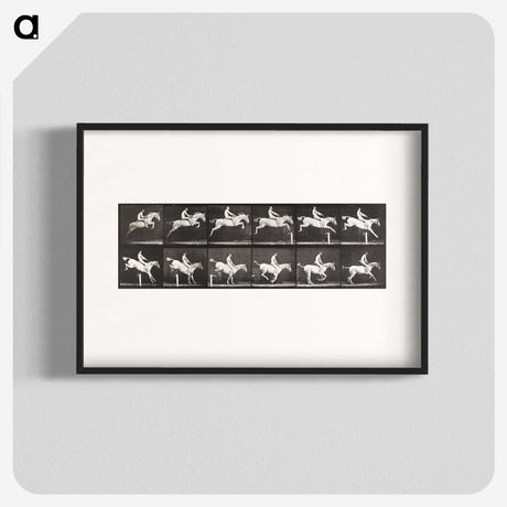 2-42_Eadweard-Muybridge_blk