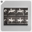 2-42_Eadweard-Muybridge_canvas