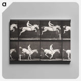 2-42_Eadweard-Muybridge_canvas