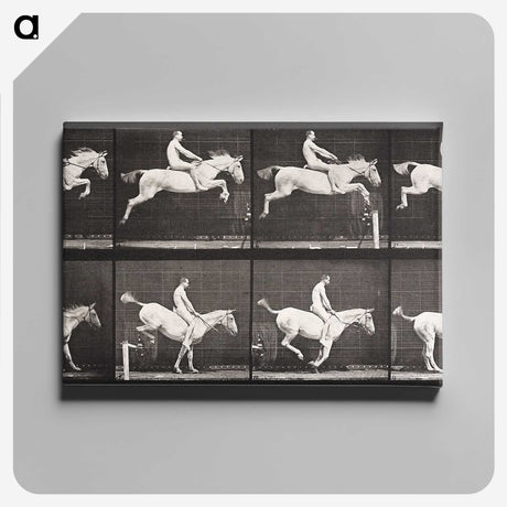 2-42_Eadweard-Muybridge_canvas