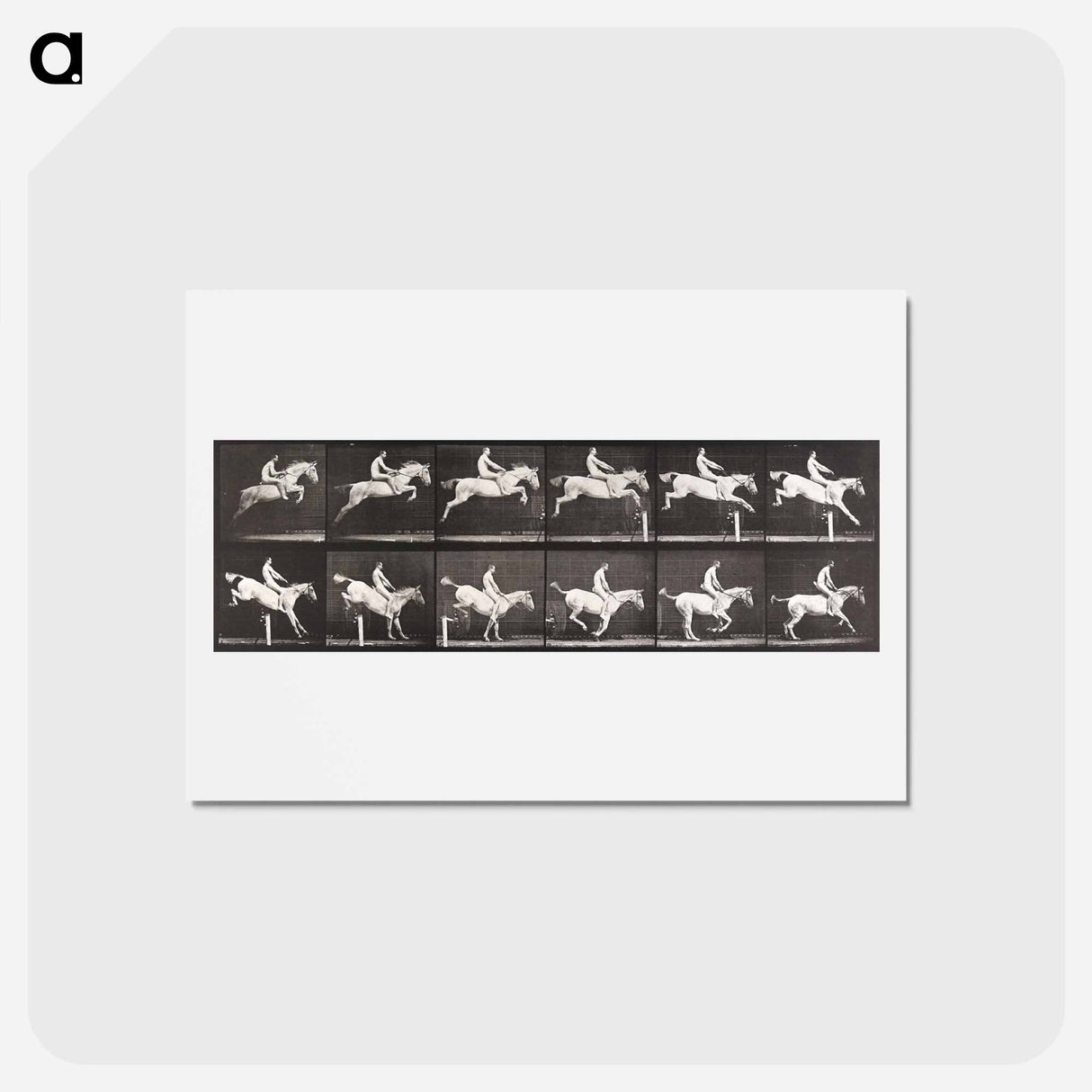 アートポストカード-Bareback Hurdle Jump
 - エドワード マイブリッジ Postcard.