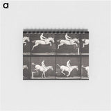 2-42_Eadweard-Muybridge_memo