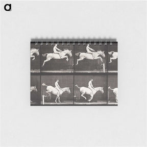 2-42_Eadweard-Muybridge_memo