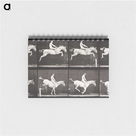 2-42_Eadweard-Muybridge_memo