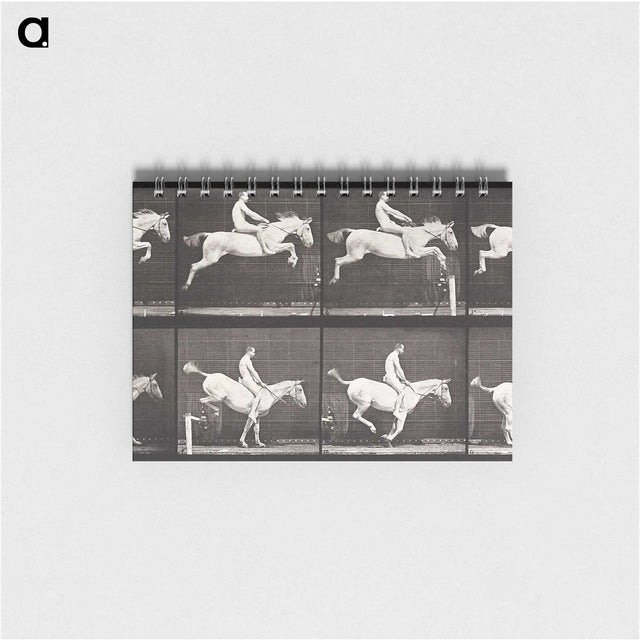2-42_Eadweard-Muybridge_memo