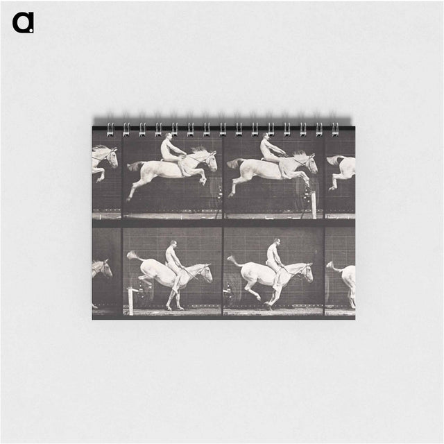 アートメモ帳-Bareback Hurdle Jump
 - エドワード マイブリッジ Memo.