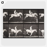 2-42_Eadweard-Muybridge_picture-crop