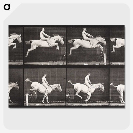 2-42_Eadweard-Muybridge_picture-crop