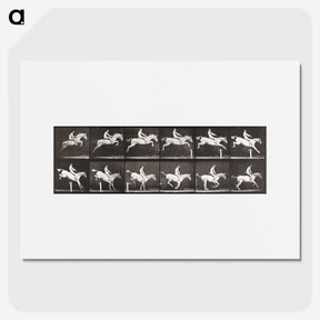 2-42_Eadweard-Muybridge_picture