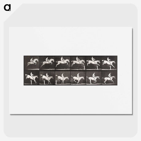 2-42_Eadweard-Muybridge_picture