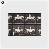 アートポストカード-Bareback Hurdle Jump
 - エドワード マイブリッジ Postcard.