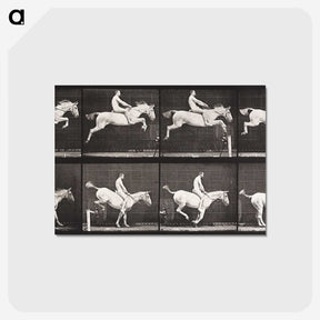 2-42_Eadweard-Muybridge_postcard