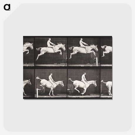 アートポストカード-Bareback Hurdle Jump
 - エドワード マイブリッジ Postcard.