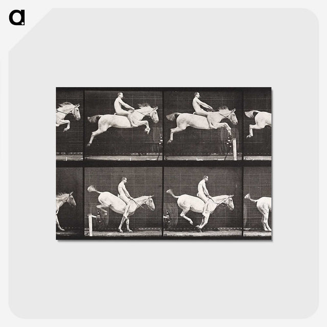 2-42_Eadweard-Muybridge_postcard