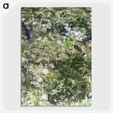 2-42_Earth-from-Above_picture-crop