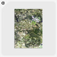 2-42_Earth-from-Above_postcard