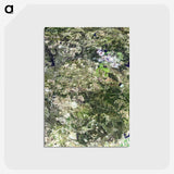 2-42_Earth-from-Above_postcard