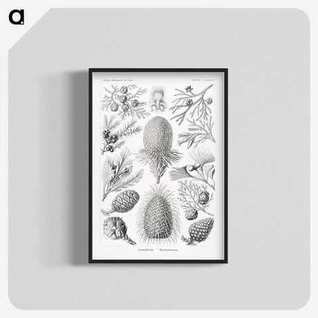 2-42_Ernst-Haeckel_blk-crop