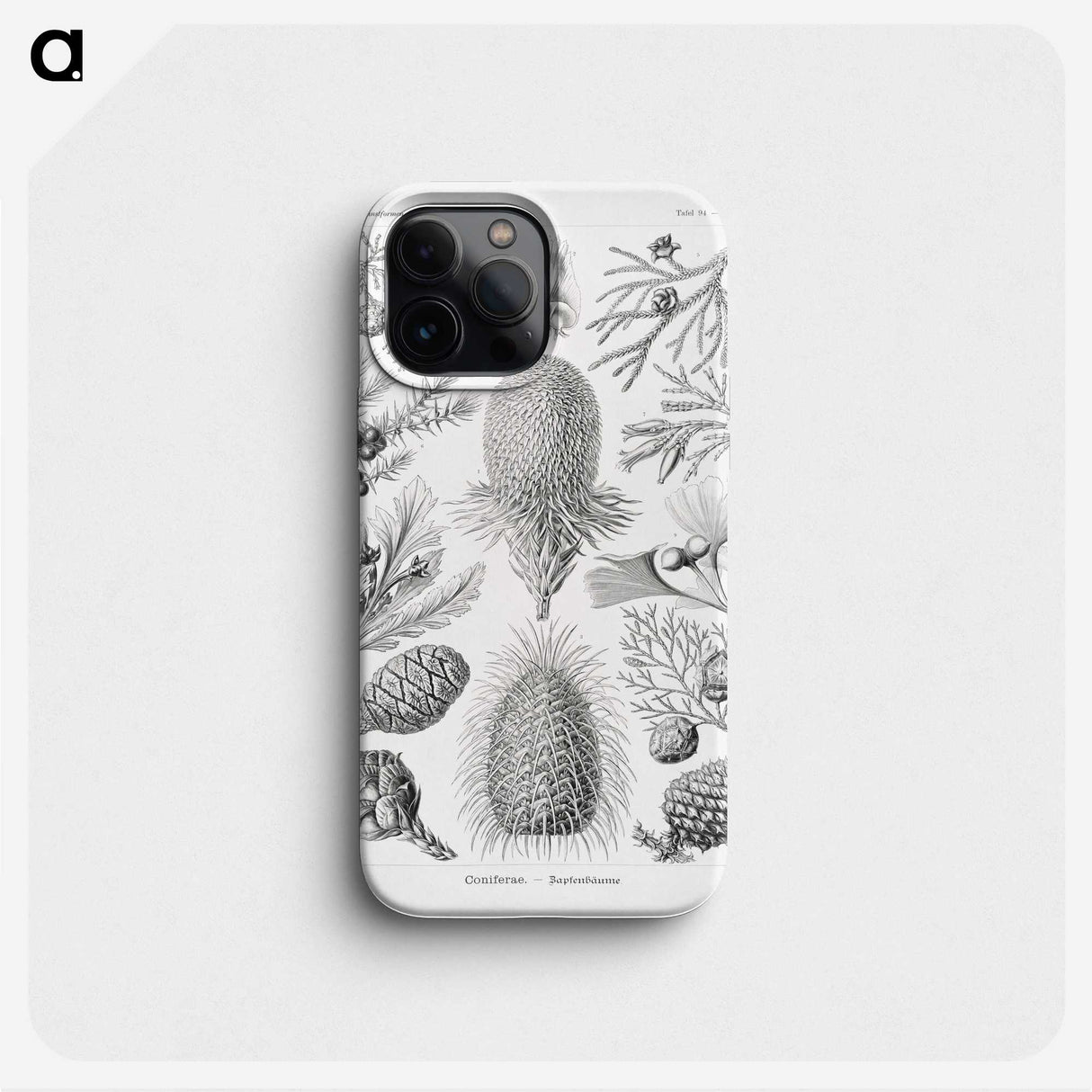 2-42_Ernst-Haeckel_phone