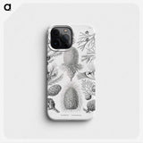 2-42_Ernst-Haeckel_phone