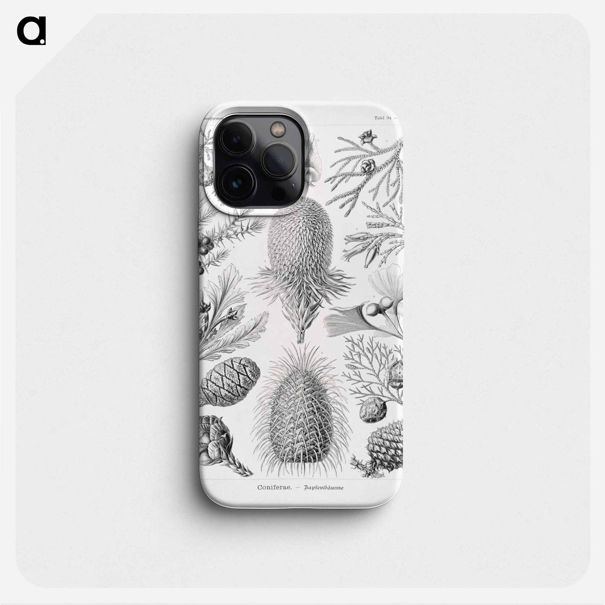 Coniferae–Bapfenbäume - エルンスト ヘッケル Phone Case.