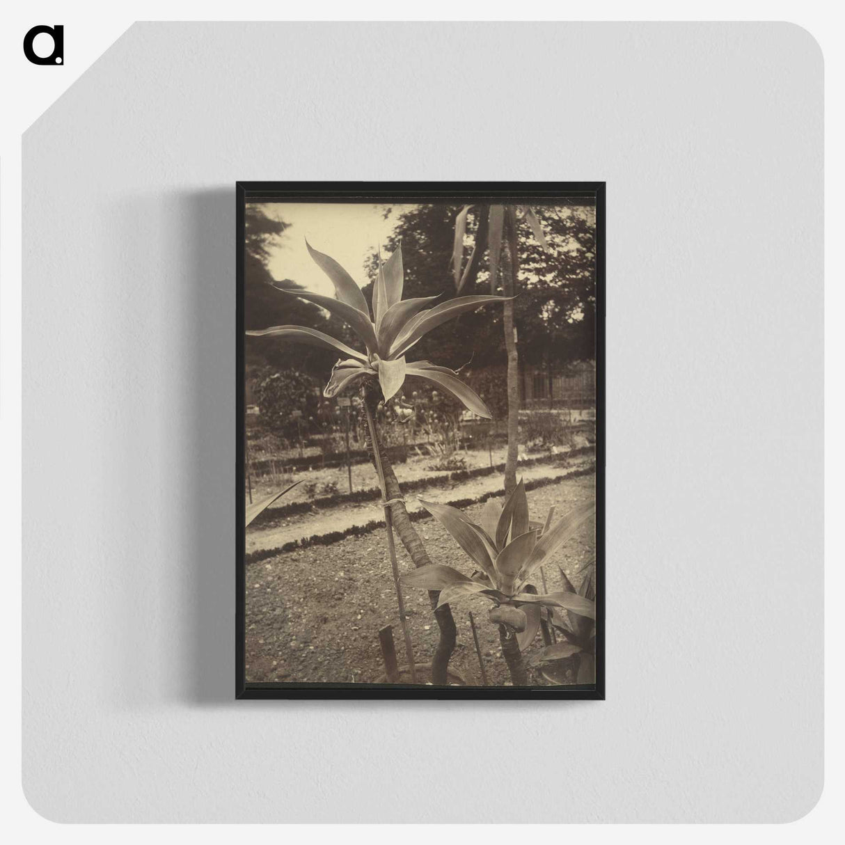 2-42_Eugene-Atget_blk-crop