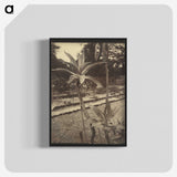 2-42_Eugene-Atget_blk-crop