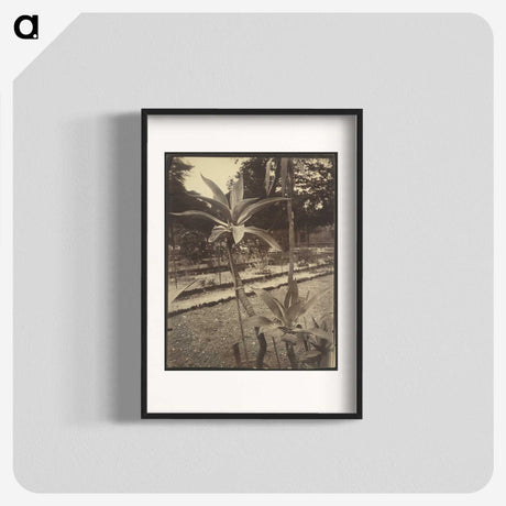 2-42_Eugene-Atget_blk