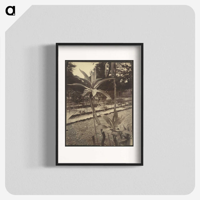 2-42_Eugene-Atget_blk