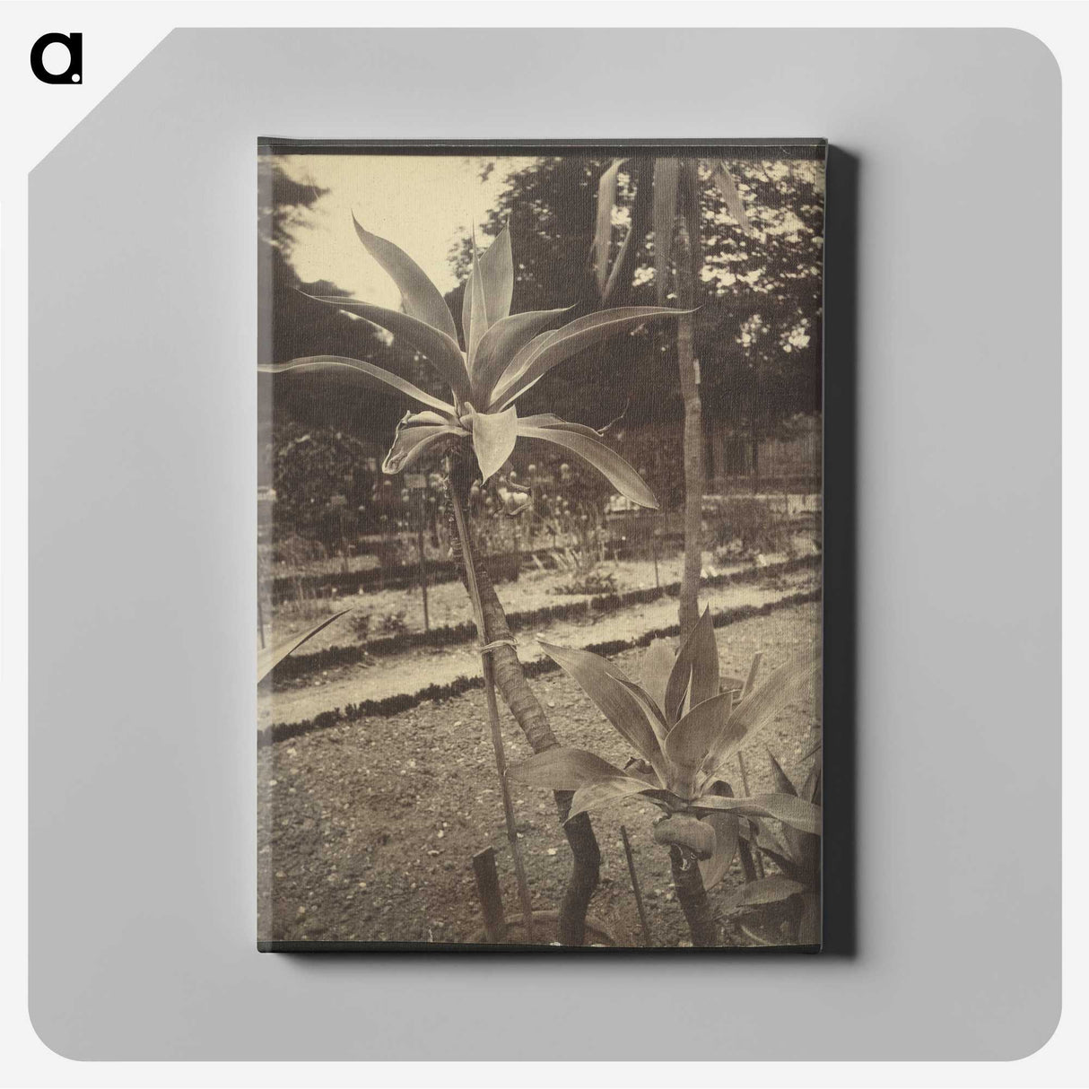 2-42_Eugene-Atget_canvas