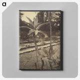 2-42_Eugene-Atget_canvas