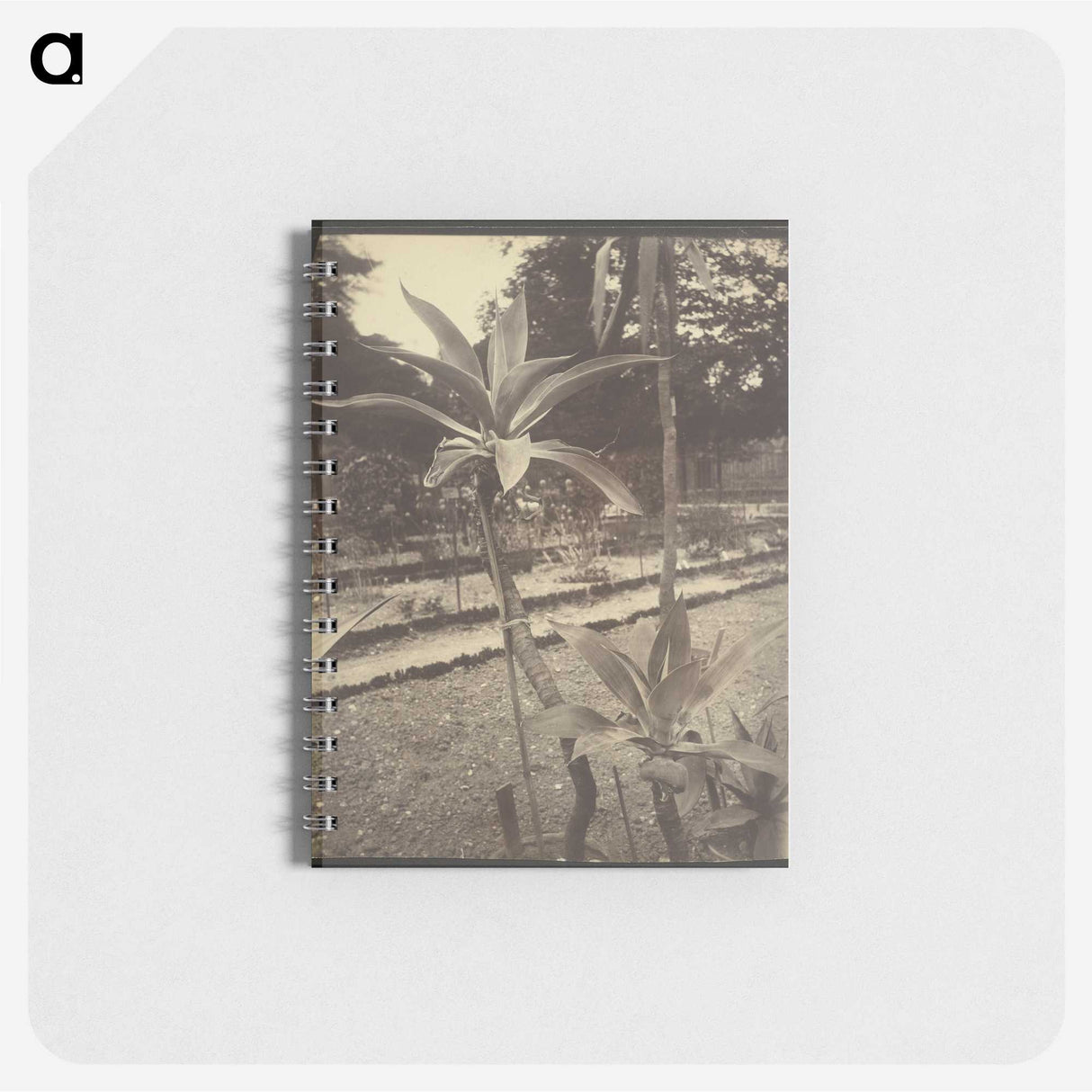 2-42_Eugene-Atget_memo