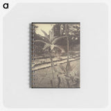2-42_Eugene-Atget_memo