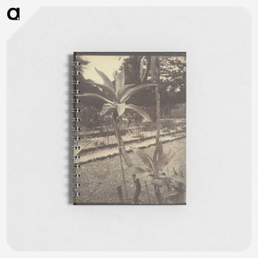 2-42_Eugene-Atget_memo