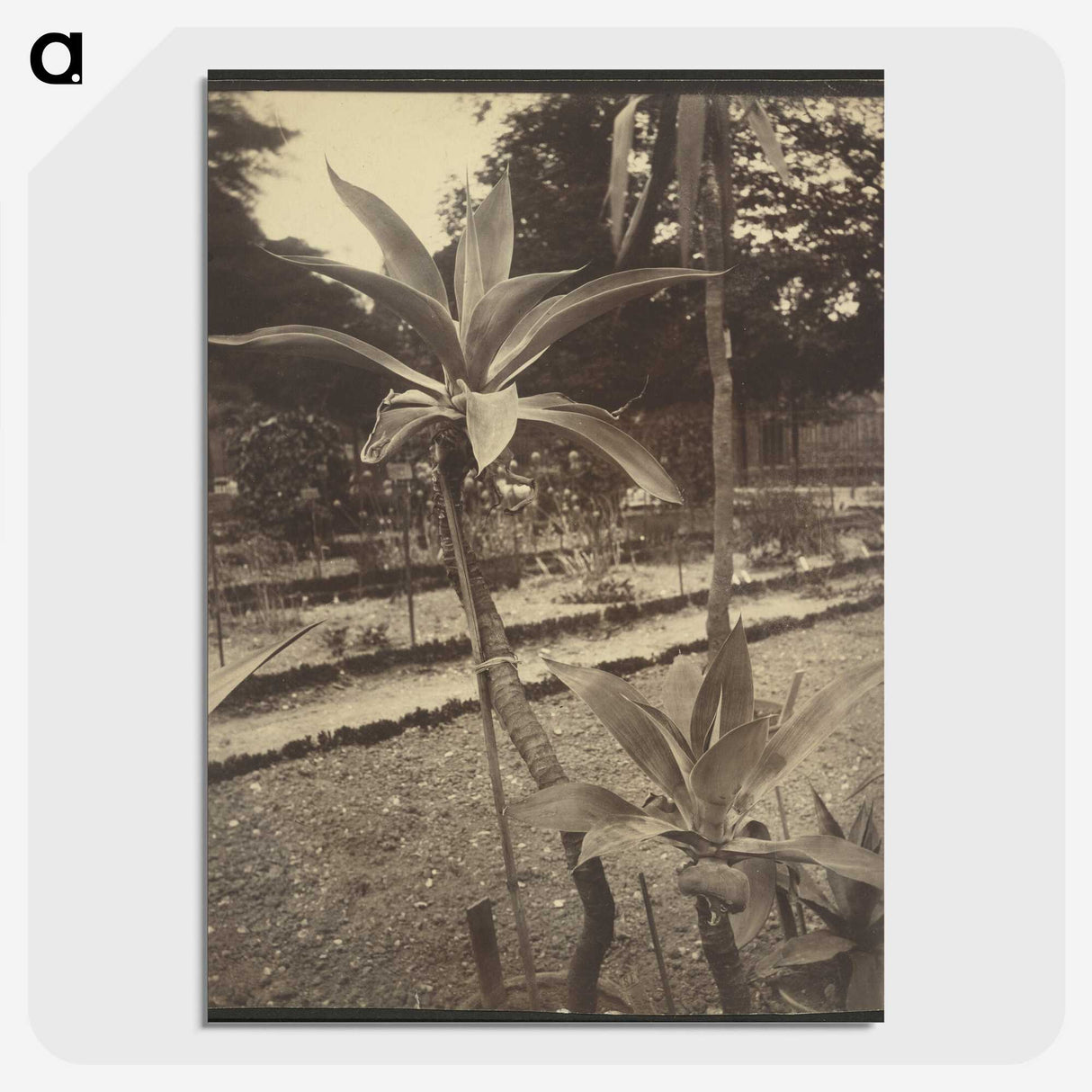 2-42_Eugene-Atget_picture-crop