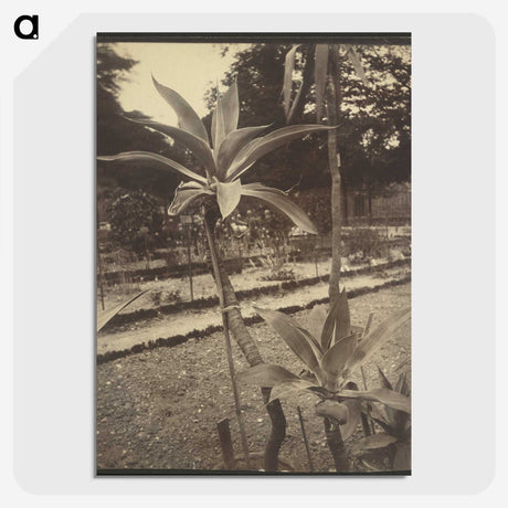 2-42_Eugene-Atget_picture-crop