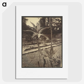 2-42_Eugene-Atget_picture