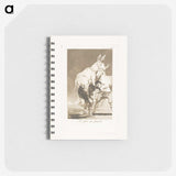 2-42_Francisco-de-Goya_memo