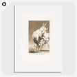 2-42_Francisco-de-Goya_picture