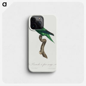 2-42_Francois-Levaillant_phone