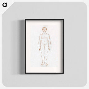 アートポスター-Anterior View of Human Figure
 - ジョージ スタッブス Poster.