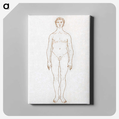 2-42_George-Stubbs_canvas