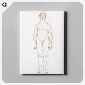 アートパネル-Anterior View of Human Figure
 - ジョージ スタッブス Canvas.