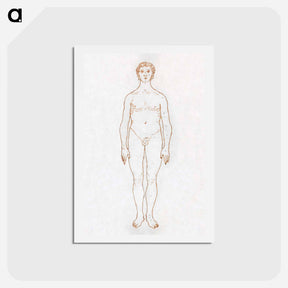 アートポストカード-Anterior View of Human Figure
 - ジョージ スタッブス Postcard.