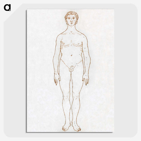 2-42_George-Stubbs_picture-crop