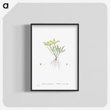 2-42_Histoire-des-Plantes-Grasses_blk-crop