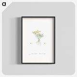 2-42_Histoire-des-Plantes-Grasses_blk